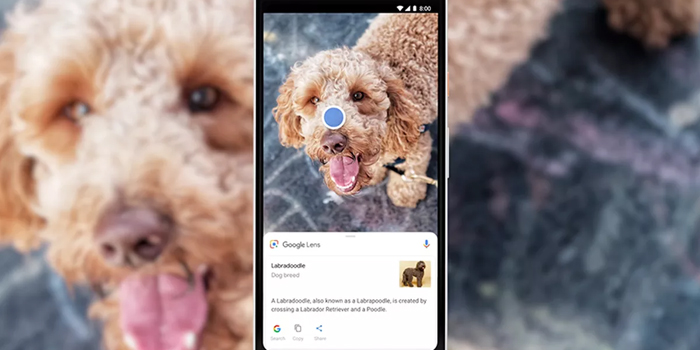 Reverse search for an image with Google Lens