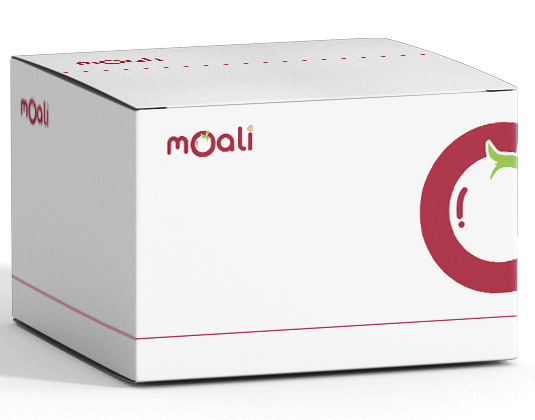 moali-review